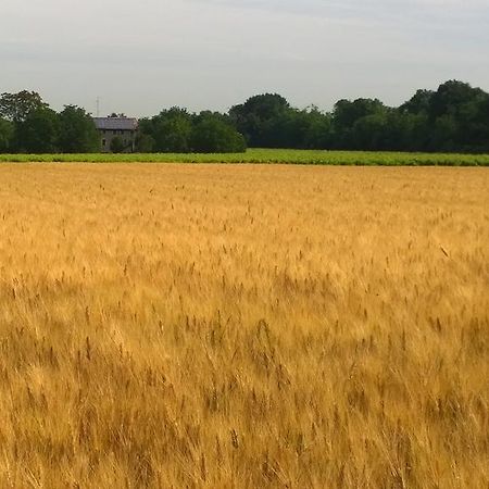 Вилла La Vigna Dei Peri Quattro Castella Экстерьер фото